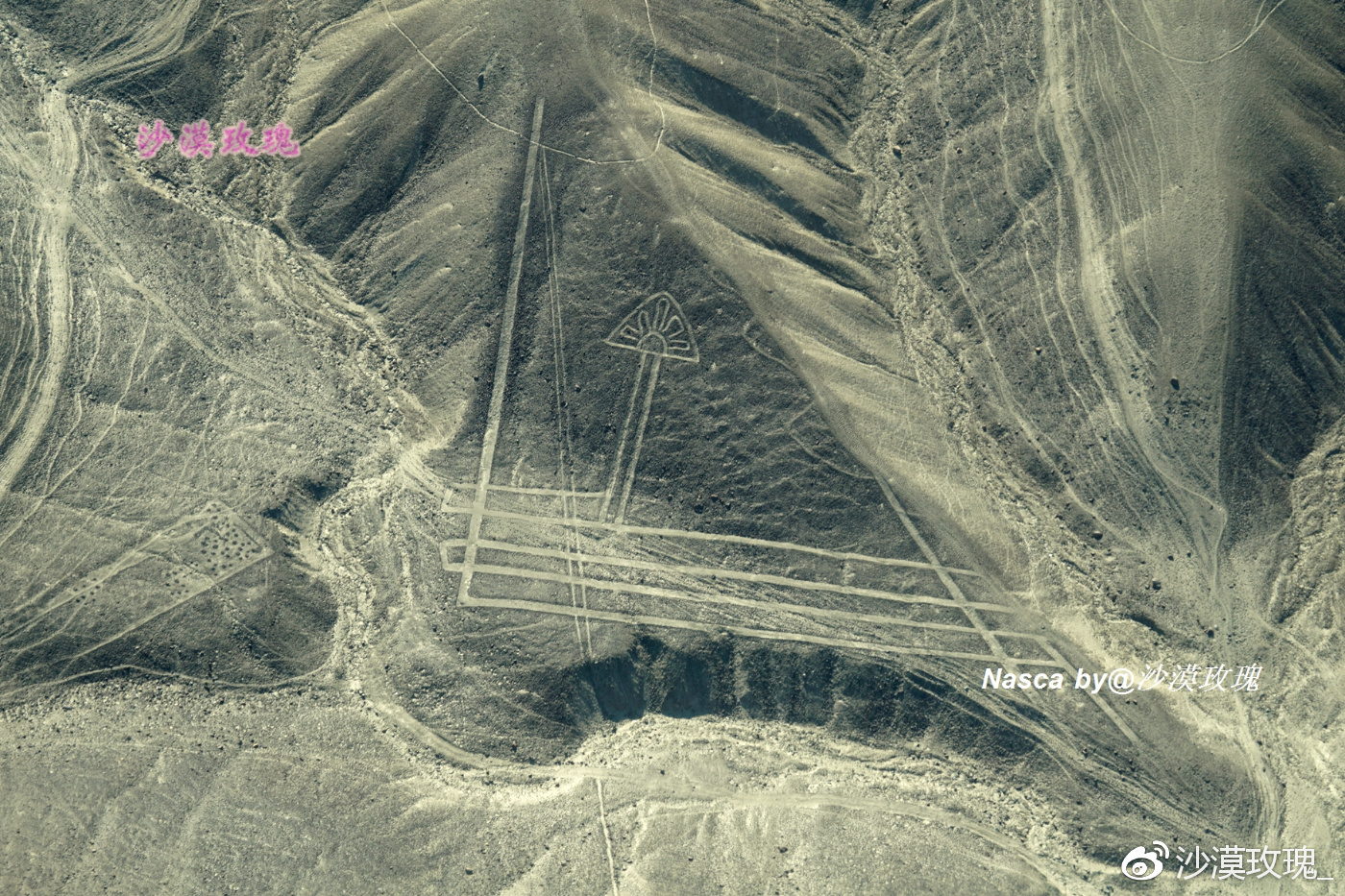 解读纳斯卡地画,存在了2000年的世界第八大奇