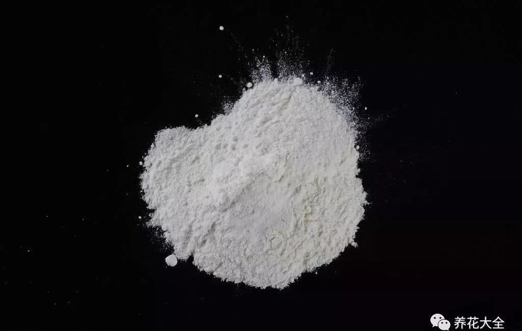 阿司匹林粉 新浪网