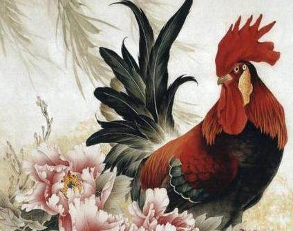 81年属鸡人好运头像,81年鸡的幸运植物图片 属鸡的女人生性活泼开朗,她们为人处世很圆滑,也比较高调,所以朋友