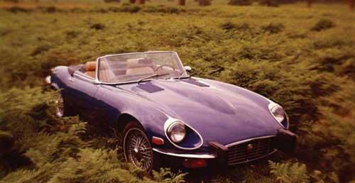 世界最具吸引力跑车之一捷豹E-type