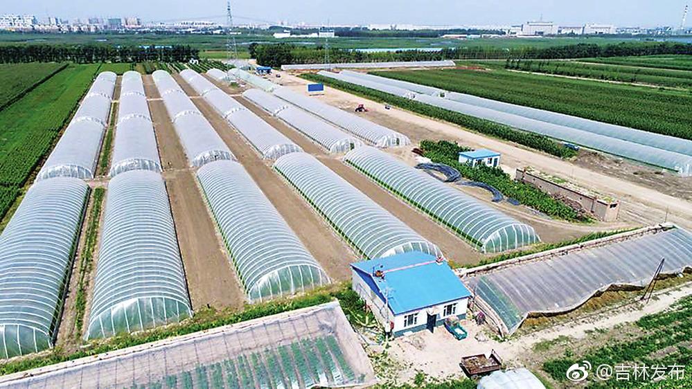 由内而生 动力澎湃 镇赉县脱贫攻坚工作带来的启示