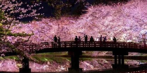 日本PK德国,谁的工业能长出樱花?