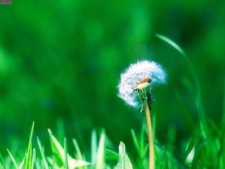 16句看淡人生的句子,句句感悟透彻!