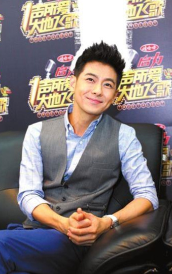 胡彦斌的收入,林志颖的收入,周杰伦的收入,没有