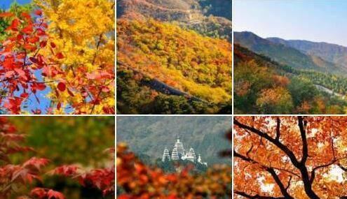 金秋红叶来袭，你的硬顶敞篷小跑准备好了吗？