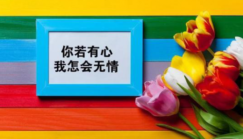 江西舜鑫投资管理有限公司:正能量人生哲理句