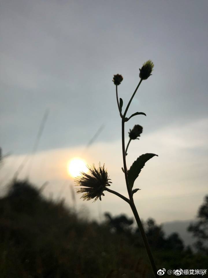 鼓岭的清晨…是宁静的,是唯美的,黎明的曙光揭去夜幕的轻纱