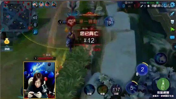 王者荣耀:张大仙直播排到鹿晗,看到战绩后,大仙