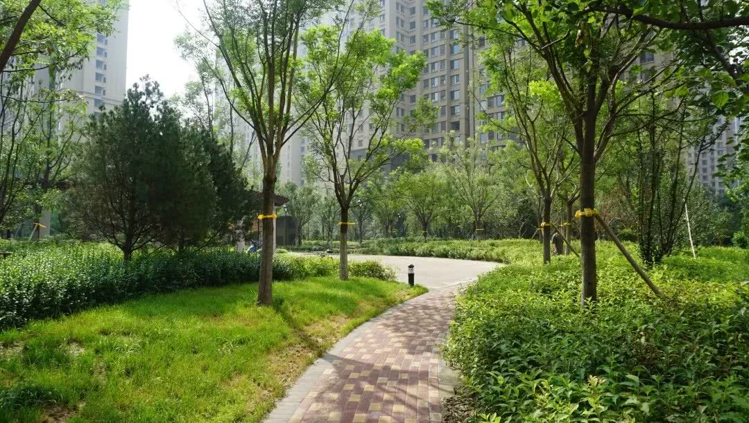 开工啦!铂悦山整装工地现场报道!