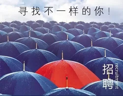甘肃福门房地产开发有限公司招聘:7大职位,名