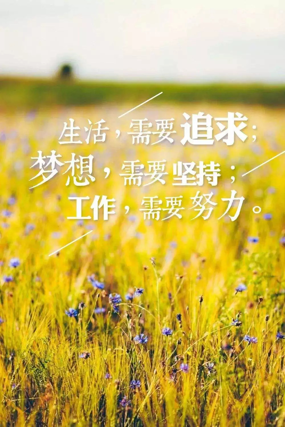 激励自己努力奋斗的话,句句受用,看完受益一生!|人生