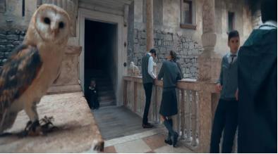 今日推荐|《伏地魔传人的起源》