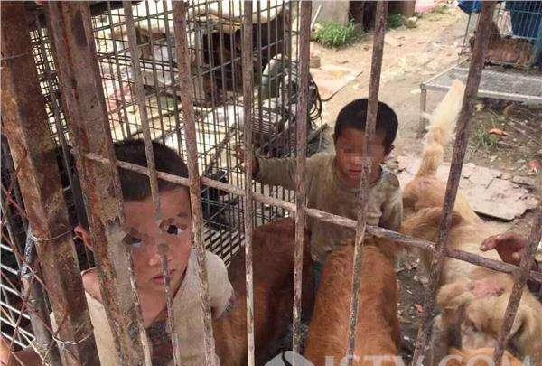 人贩子诱骗小孩反被抓,小孩的回答让所有人沉默了