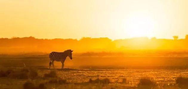 美国签证100%出签技巧,内含题库!