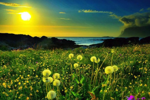 2018朋友圈致拼搏路上的自己暖心说说,拼搏到