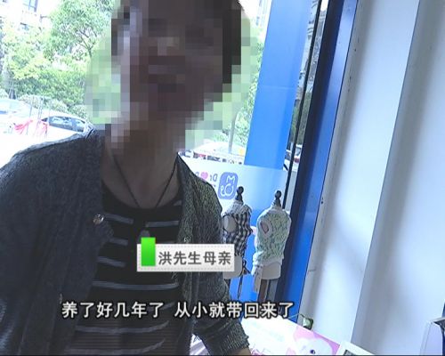 为何他会怀疑爱狗命丧一支退烧针?