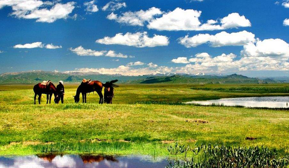 端午去哪玩比较好 你准备好了吗