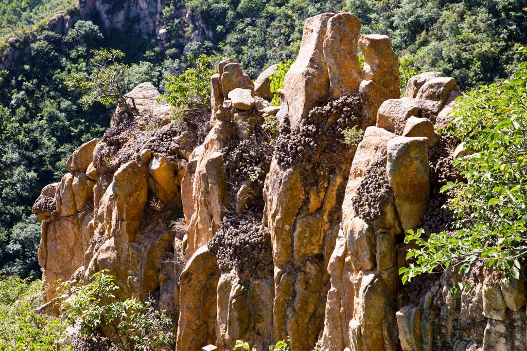 西方有侏罗纪公园,东方有白垩纪公园