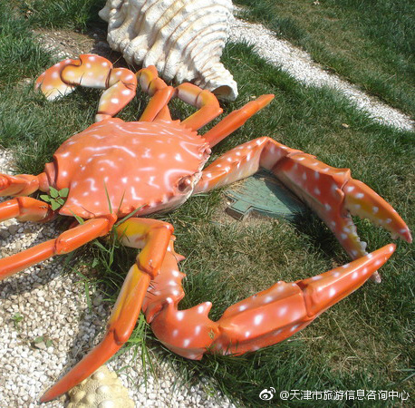 天津贝壳堤湿地公园