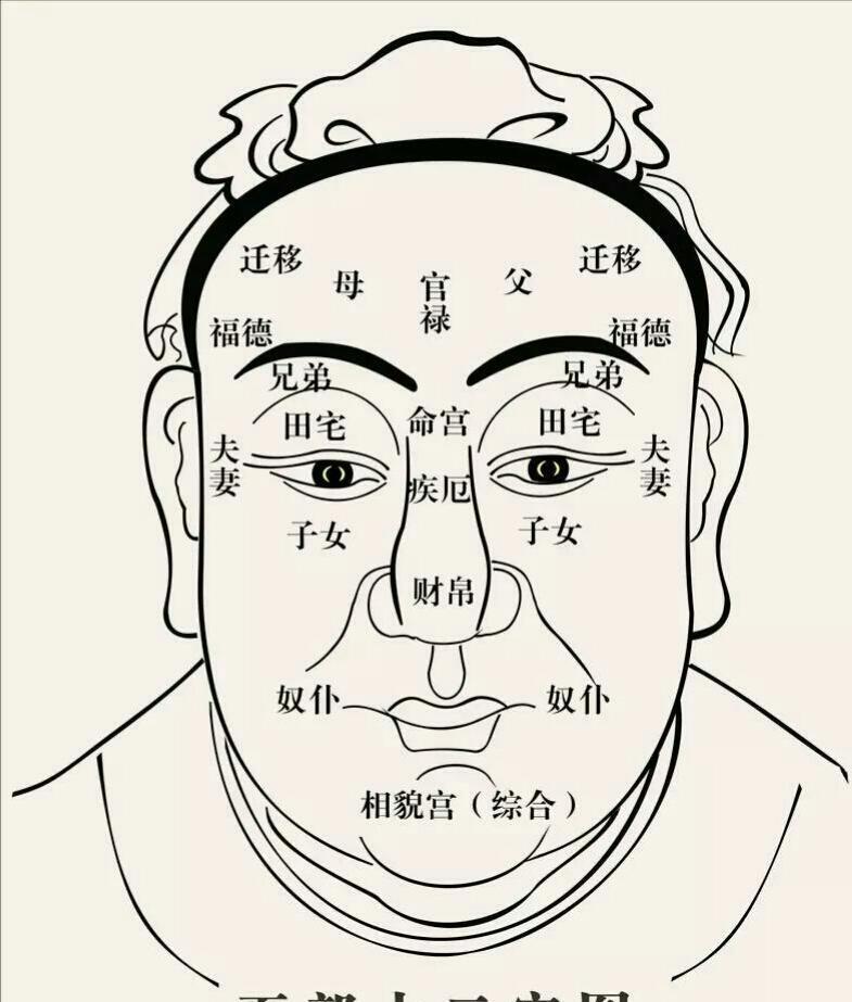 面相中的鼻, 眉, 耳, 口, 眼, 十二宫分别代表什么?