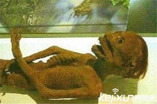 广东水库抓到一只水鬼 是传说中的水猴子?