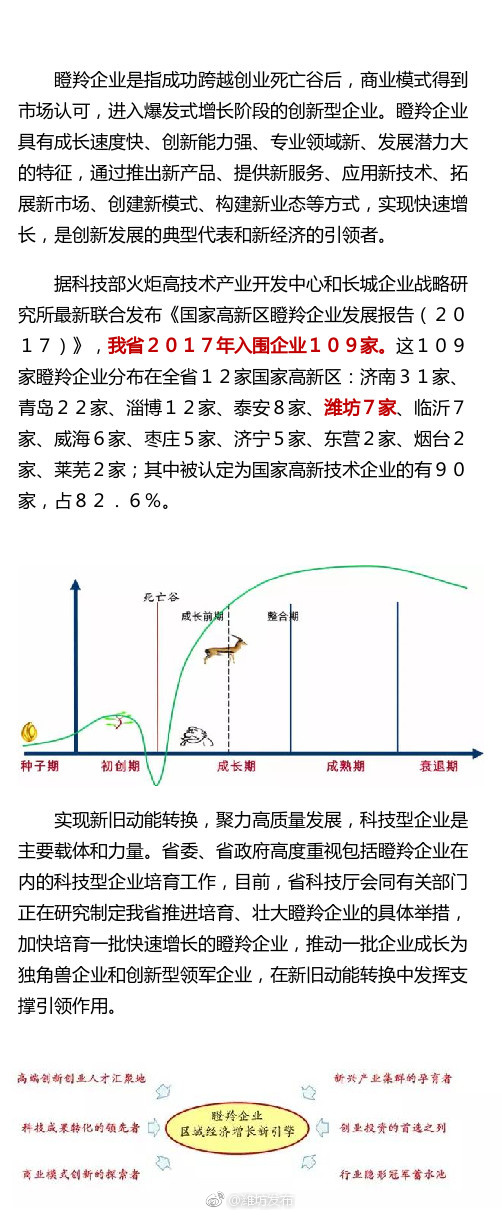 2017年度国家高新区瞪羚企业名单 潍坊7家企