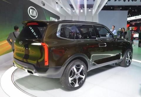 这辆韩国车要拼了！比霸道彪悍，比汉兰达豪华，后排两个躺椅