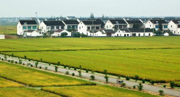 土地确权, 没有地的农村人怎么办? 啥时候才能