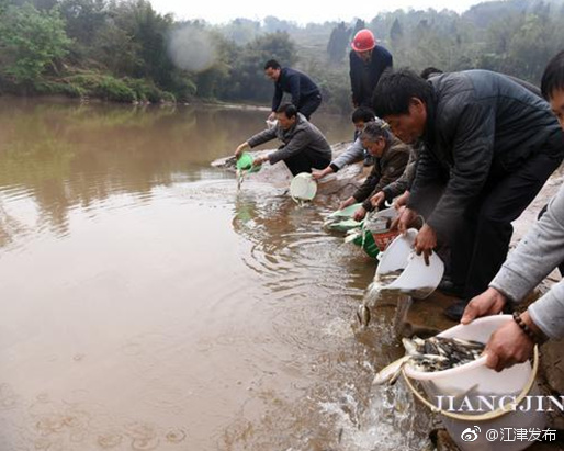 江津开创长江上游珍稀特有鱼类保护创新模式