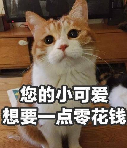 问父母要零花钱表情包系列,了解一下
