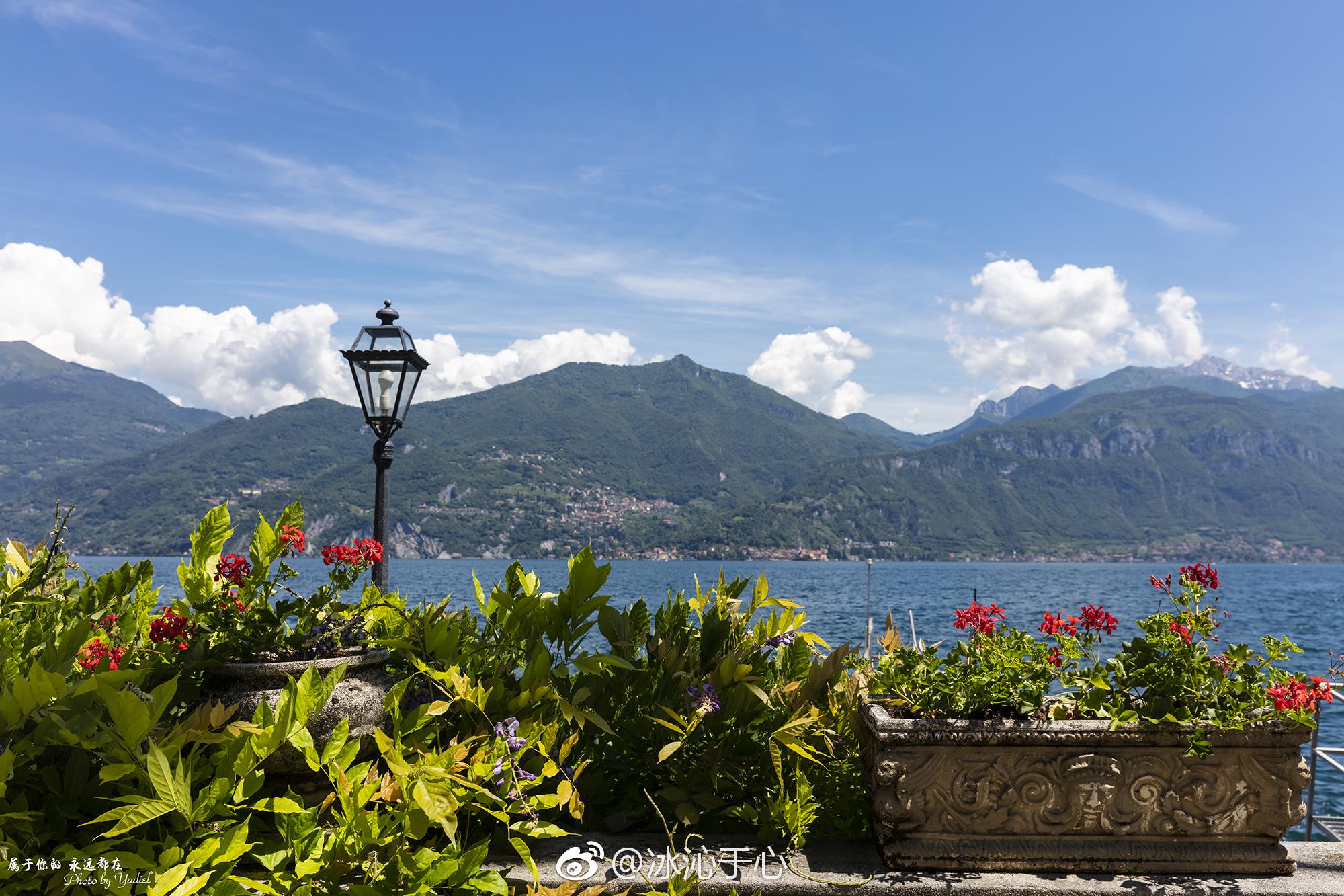 科莫多巨蜥繁殖之谜 雌性无需交配产崽真相