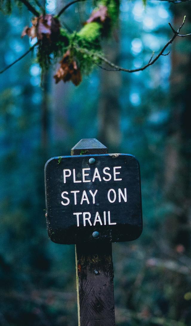 「壁纸路透社」三星 Galaxy S9全面屏&精选H