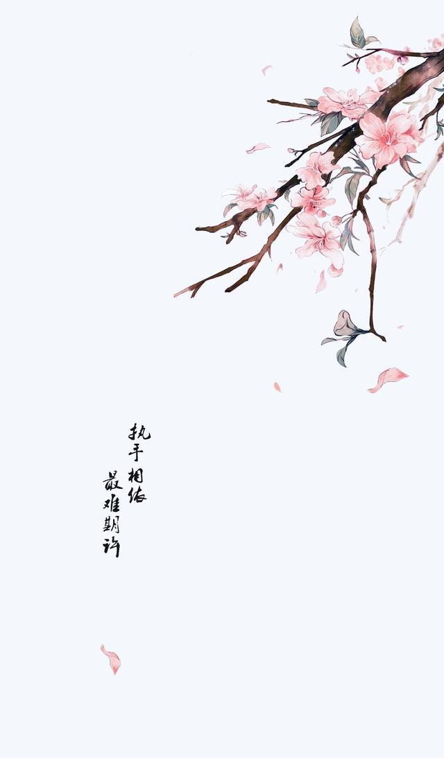 古风动漫唯美壁纸,伤感文字系列,很干净的壁纸,美炸了
