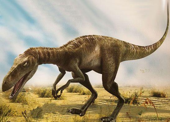 正文  与始盗龙同一时期出现的恐龙还有埃雷拉龙, 南十字龙