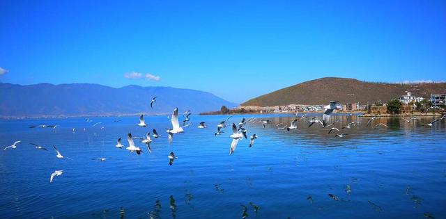 云南为什么简称滇?