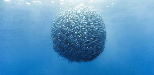 别再问我菲律宾哪里好玩了…拿上这份攻略今天