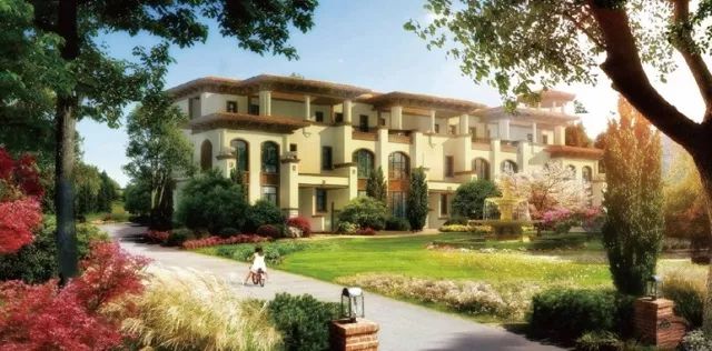 超时空同居丨地产大佬重生记?!面对新人生,你