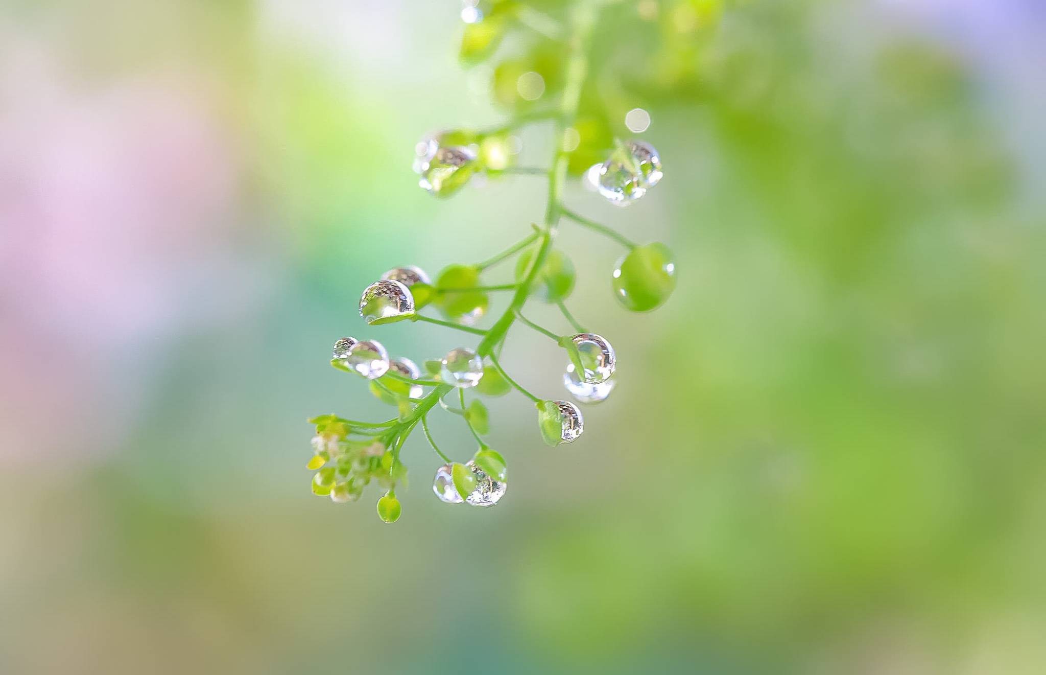 唯美星空 很喜欢这样的夜,宁静,心安,感觉踏实且满足