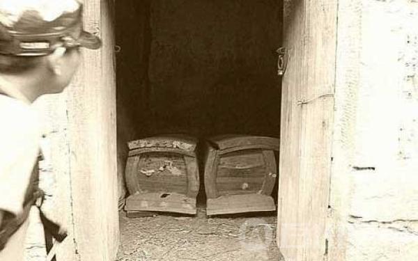 中国这5个村,哪个你敢进去,蛇村,鬼村,雷村,奇村,怪叫村