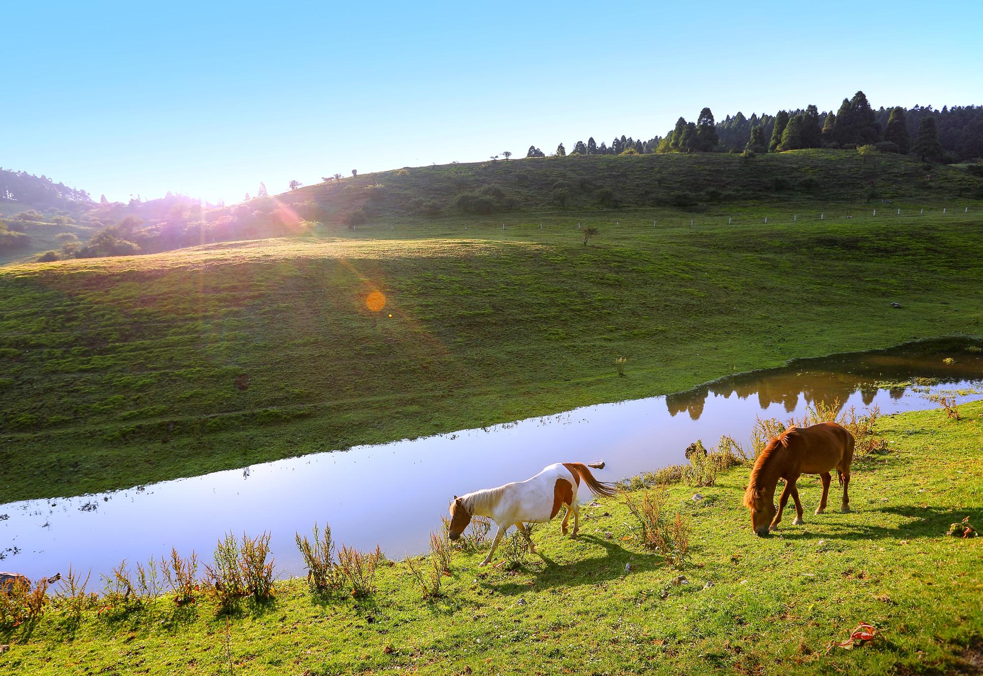 2018年5月---8月假期带着你的家人去 亨受仙女