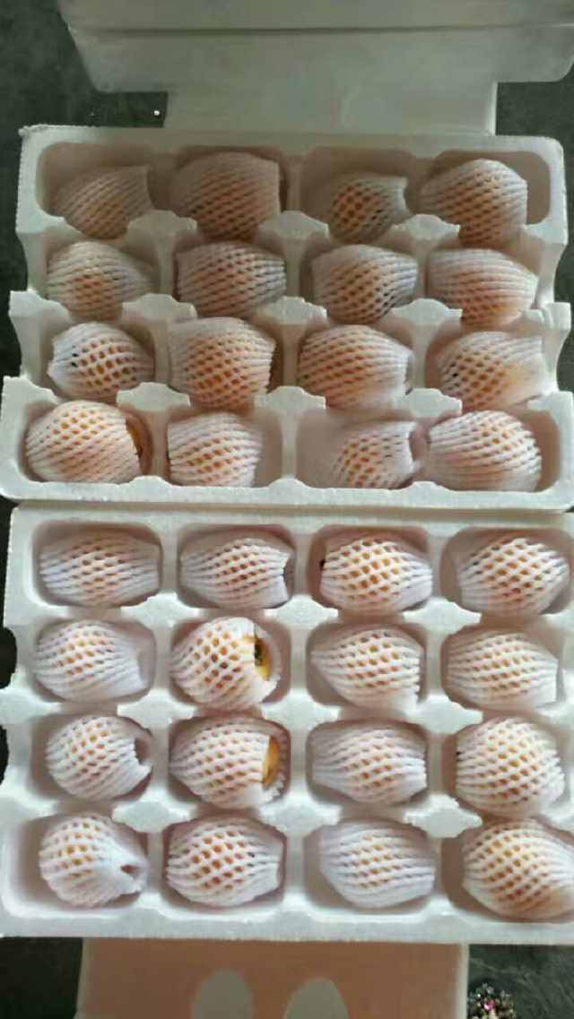 枇杷包装好,可以进行快递,不易破损受伤.