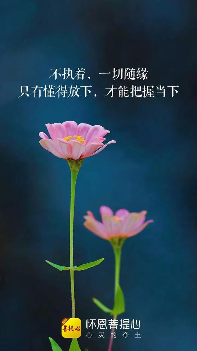 【修心路上】人生没有过不去的坎