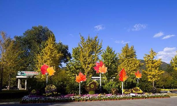 旅游风光 北京植物园 是国家重点建设的植物园之一 北京植物园 植物园 植物 新浪新闻