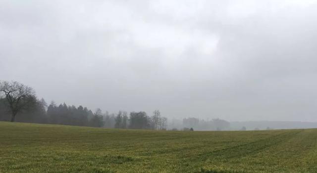 浪琴2万,欧米茄4万,真力时5万,2018年5万以内