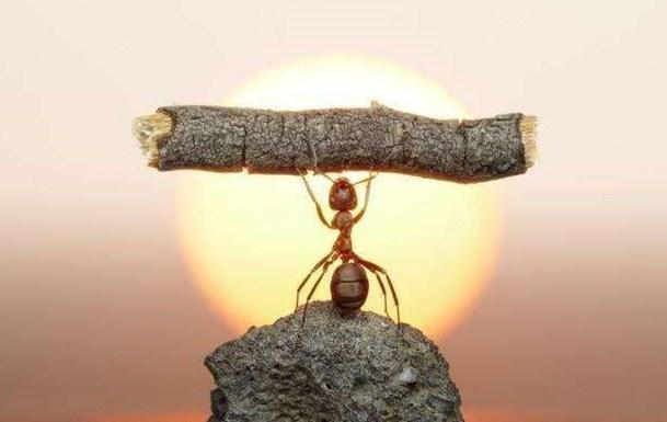 人穷莫入众,言轻莫劝人,老祖宗四句传世名言,道