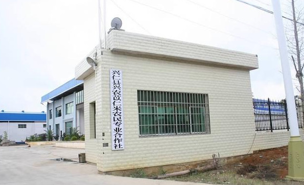 不想打工了,在老家干什么好?给你几点参考方向