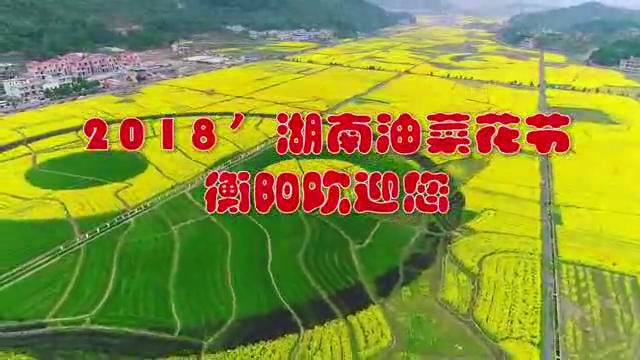 2018湖南油菜花节即将在衡阳县开幕