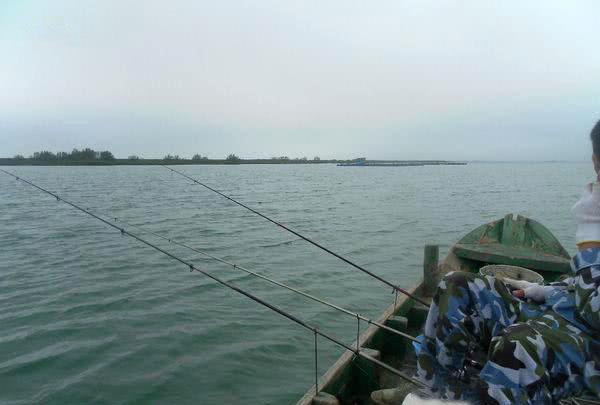 我国黄海中有种鱼名叫黄鲷鱼肉质鲜美,特别好