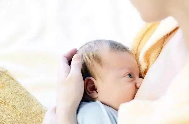 新生儿出生第一天应该喂白开水还是葡萄糖水