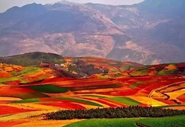 春天没自驾过这条仙境路线，就错过了整个云南，风景自带滤镜！